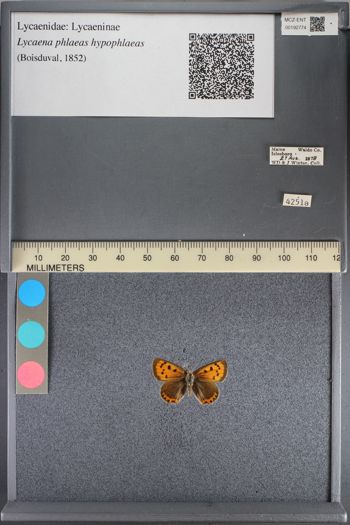 Media type: image;   Entomology 192774